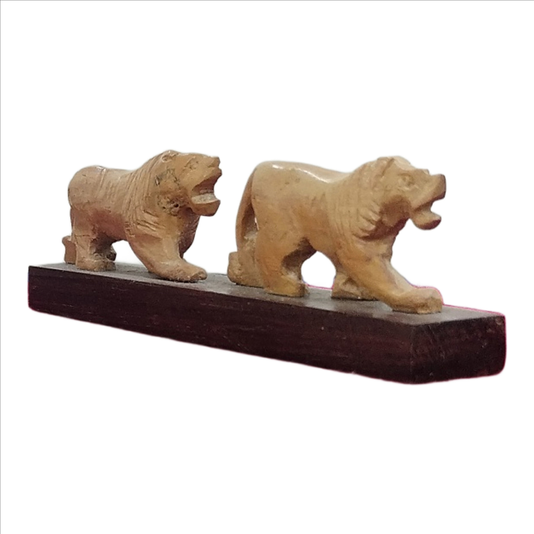 S.W Jungle Lion 2pc Set S.3 3.754