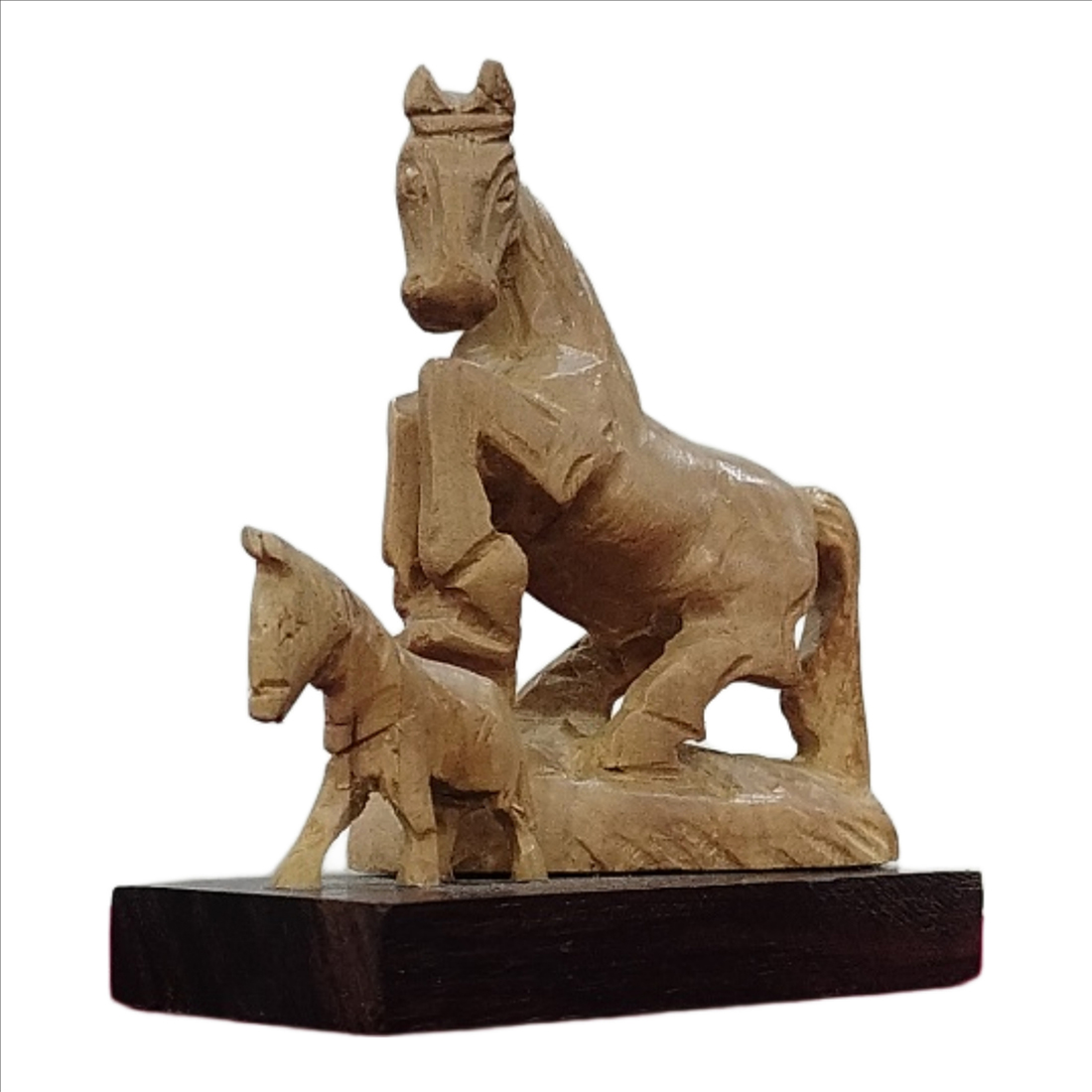 SW01229 F3 SW Hourse WI Baby X