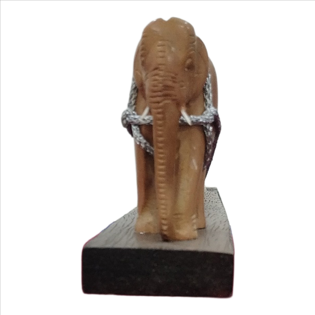 SW01578 SW Log Elephant 3