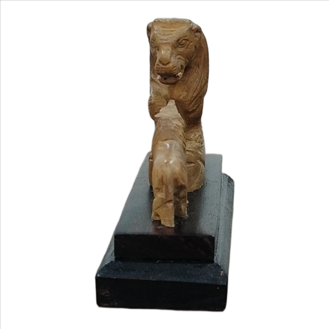 SW04710 SW Jungle Lion SPL 2-3-4